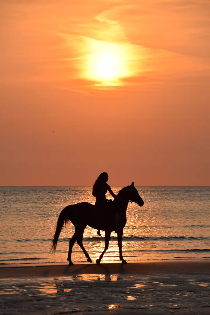 Riding Horse On A French Beach
